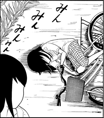 File:C62 tomoko falls.png