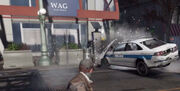 WAG Clothing Wipeout-WD.jpg