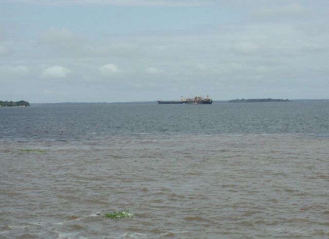 File:Amazon near Manaus.jpg
