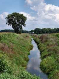 Marshall county Indiana yellow river