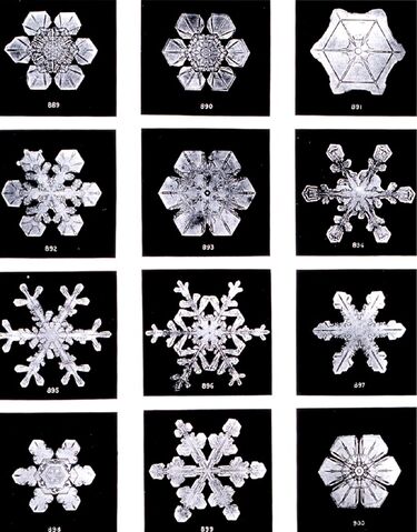 File:SnowflakesWilsonBentley.jpg