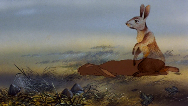 File:Vlcsnap-2014-05-12-17h41m38s23.png