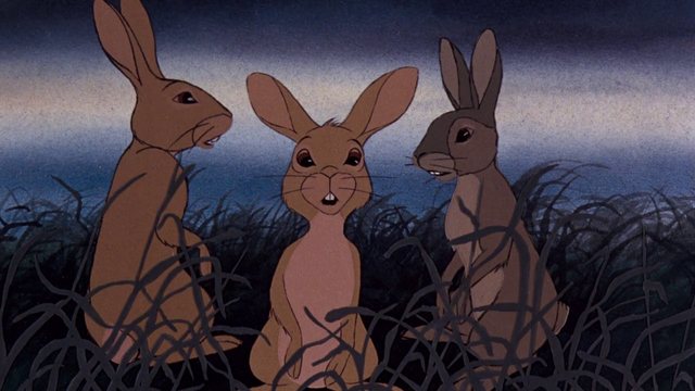 File:Vlcsnap-2014-04-28-23h30m24s72.png