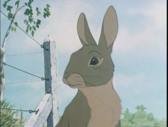 File:Hazel in the film.jpg