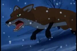 Fox