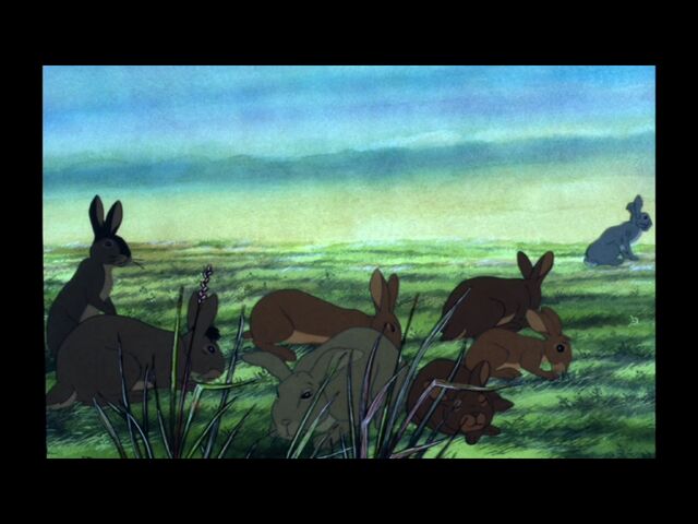 File:Therabbits.jpg