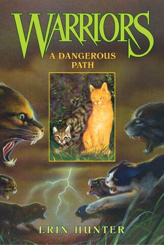 File:A Dangerous Path.jpg
