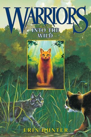 File:Into the Wild.jpg