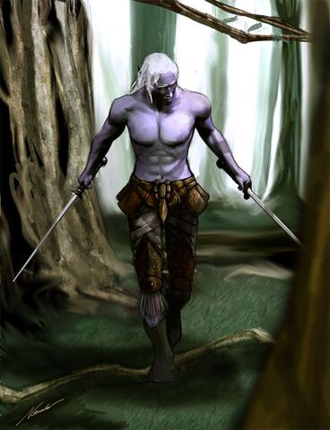 File:Drow-male.jpg