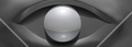 Thumbnail for version as of 22:56, December 3, 2009