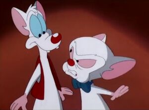 PinkyAndBrainAsPixieAndDixie