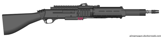 File:Helocaux Xeicovur-707.jpg