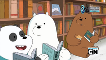 Panda and Ice Bear