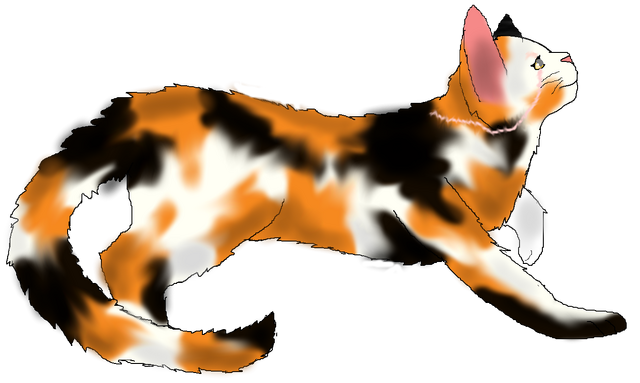 File:Stoatscar Warer File.png
