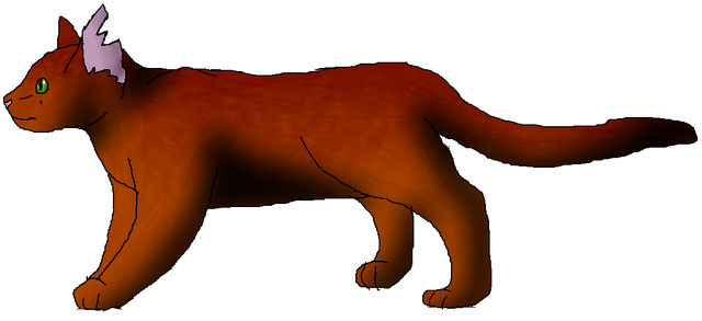 File:Sparkpaw.apprentice.png