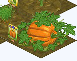 Pumpkin Harvest