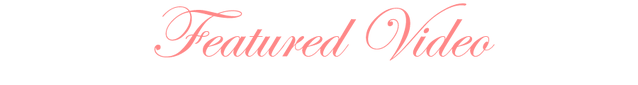 File:Wedvideo.png