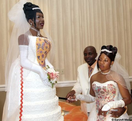 File:WedcakemodelBM 450x411.jpg