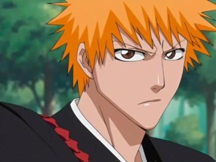 File:IchigoAnimeEp113.jpg