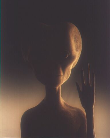 File:Grey alien.jpg
