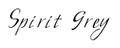 Thumbnail for version as of 07:06, August 15, 2016