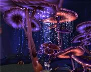 MushroomLand.jpg