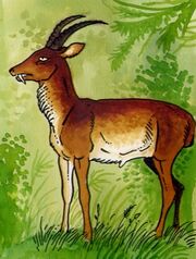 Rammhirsch.jpg