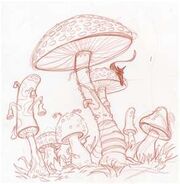 Fungus-study