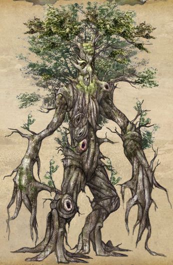 Ent