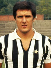 Scirea