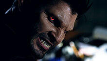 Derek Hale Alpha Werewolf