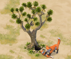 Desert-fox-den