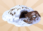 Winter Wolf Den