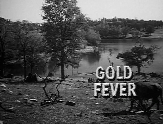 File:Gold Fever.png