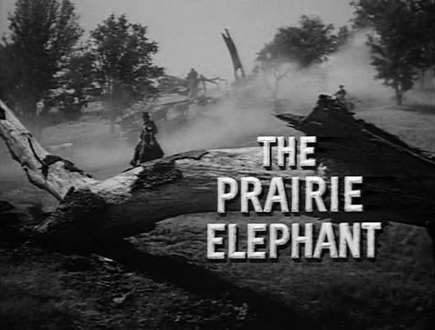 File:The Prairie Elephant.png