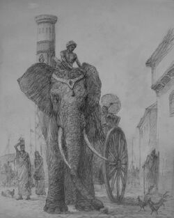 De hathays - Marc Fishman.jpg