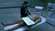 Autopsy gurney woodcutter