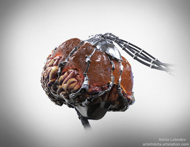 Plik:Nikita-lebedev-brain-b.jpg