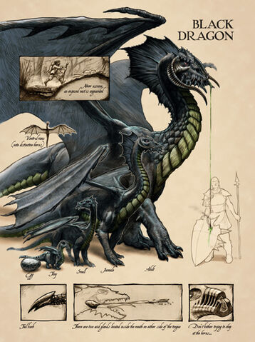 Plik:BlackDragon.jpg