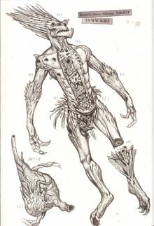 Kroot Sekcja Zwłok