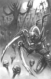Drazhar Art.jpg
