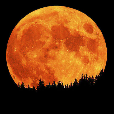 File:Blood-moon1.jpg