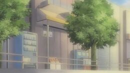 The game store