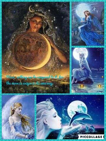 File:Moon Appreciation Photo.jpg
