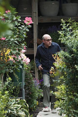 File:5x09-Mozzie.jpg