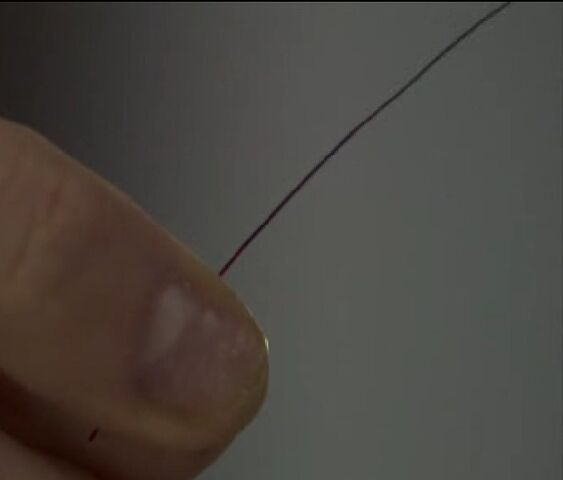 File:Security Fibre.jpg