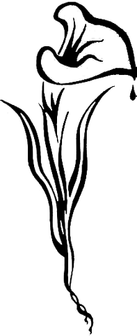 File:LogoKallisti.png