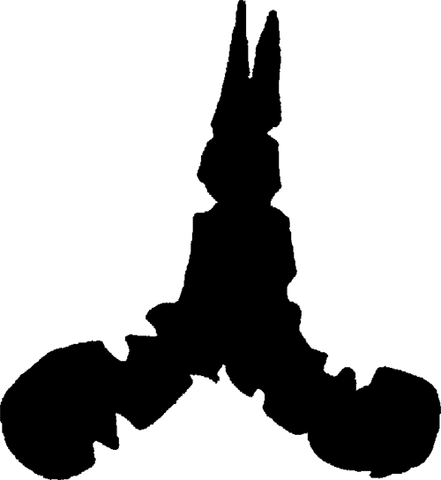 File:GlyphTree.png