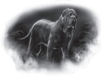 Shadowbane