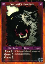 Volchecka2